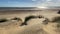 Beach at Camber sands East Sussex UK - view of Camber Sand dunes with sky and sea dunes