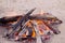 Beach campfire on lake with sand shore. burning wood on white sand in daytime