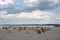 Beach with canopied wicker beach chairs in TravemÃ¼nde