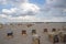 Beach with canopied wicker beach chairs in TravemÃ¼nde