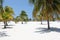 Beach on the Caribbean Sea, Cuba, Cayo Largo