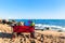 Beach cart with luggage and dog