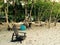 Beach chair and hammocks costa rica
