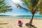 Beach chair by a palm tree in Raisins Clairs beach in Guadeloupe