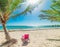 Beach chair by a palm tree in Raisins Clairs beach in Guadeloupe