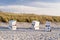 Beach Chairs on the Beach of Ahrenshoop