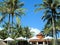 Beach chairs  hotel  palm   there trees tropical umbrellas blue sky