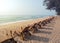 Beach chairs put in line face to sea and prepared for tourist to take it for sunbathting