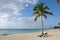 Beach Chairs under Palm Tree on Tropical Beach