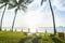 beach chairs under the palm tree viewing the sunset