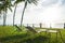 Beach chairs under the palm tree viewing the sunset