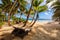 Beach chairs under palm trees on beautiful beach at Seychelles