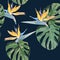 Beach cheerful seamless pattern wallpaper of tropical dark green leaves of palm trees and flowers bird of paradise strelitzia