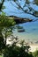 Beach with clear water and bright sand. Trees and exuberant vegetation, old stone dock and small boats. Galicia, Spain.