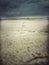 Beach and cloudy sky captured with a little twig on the sand