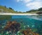 Beach coastline and algae underwater in the ocean split level view Spain