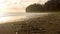 Beach coastline on sunset full of trash, empty plastic bottles