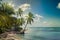 Beach with coconut palm, uninhabited tropical island