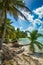 Beach with coconut palm, uninhabited tropical island