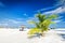 Beach with coconut palms and deckchairs on a small island resort in Maldives