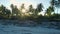 Beach with coconut palms and sunrise tones. Aerial view of ocean coastline on Fuvahmulah island