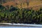 A beach and coconut palms, Yasawa islands, Fiji