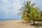 Beach with coconut trees Caribbean Costa Rica