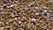 Beach colorful pebbles close up panorama background