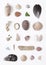 Beach combing Collection