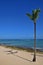 Beach with concrete split and coconut tree on the right with a tiny white moon in the blue sky