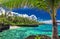 Beach with coral reef on south side of Upolu framed by palm leaves, Samoa