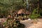 Beach Cottage Bungalow In Ban Thung Tuek Ancient City, Thailand 