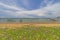 Beach covered with creeping Goat foot plant along the seashore with fishing boats mooring at Pulau Kekabu in Marang of Terengganu,