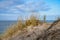 Beach crossing in Denmark by the sea. Dunes, sand water and clouds on the coast