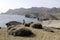 Beach de monsul, cabo de gata, andalusia, spain, europe, view