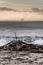 Beach debris piles up at shoreline