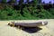 Beach Dogs relaxing under the shadow of country boat