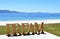 Beach with Dream wooden sign. Galicia, Spain, sunny day.