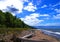 Beach with driftwood