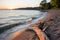 a beach with driftwood on the sand at sunset