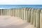 Beach dune and beach fence