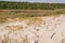 Beach, Dunes, Driftwood and Tidal Pool