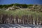 Beach and dunes on North Sylt, dune protection