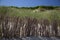 Beach and dunes on North Sylt, dune protection