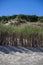 Beach and dunes on North Sylt, dune protection