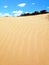 Beach dunes resembling a desert oasis