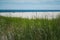 Beach and Dunes â€“ Summer in the Hamptons