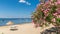 Beach of Erdek with beach umbrellas and pink flowers with a view of Marmara sea