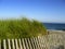 Beach Fence