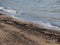 Beach at Firth of Forth in Edinburgh